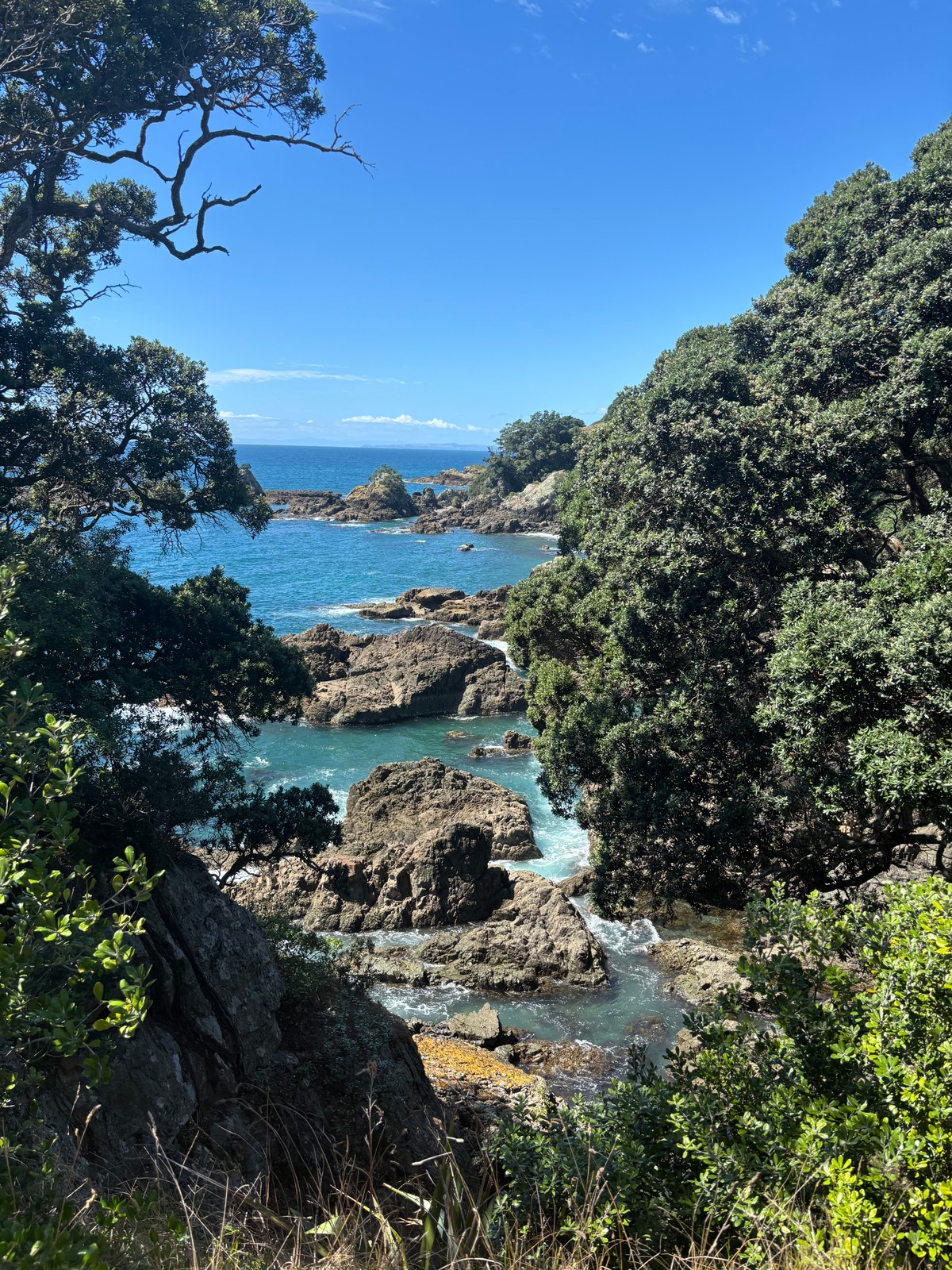 Pretty rocks