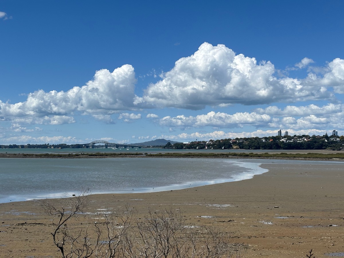 Tide was pretty far out!