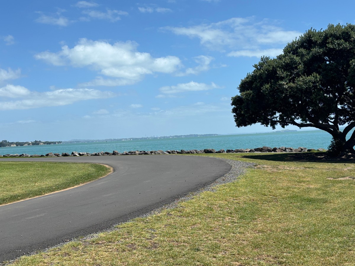There's Auckland!