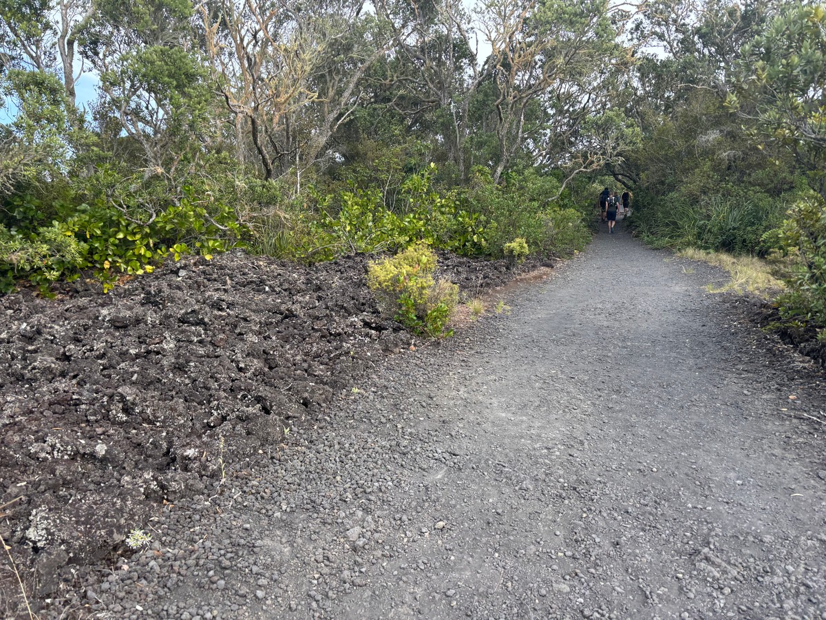 So much volcanic rock!
