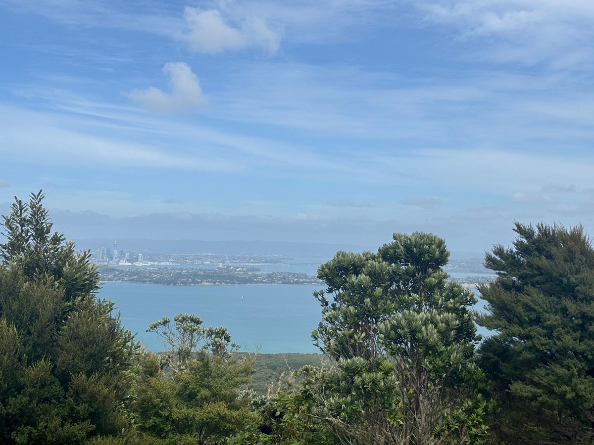 Quite a view from the island!